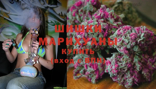 эйфоретик Белокуриха