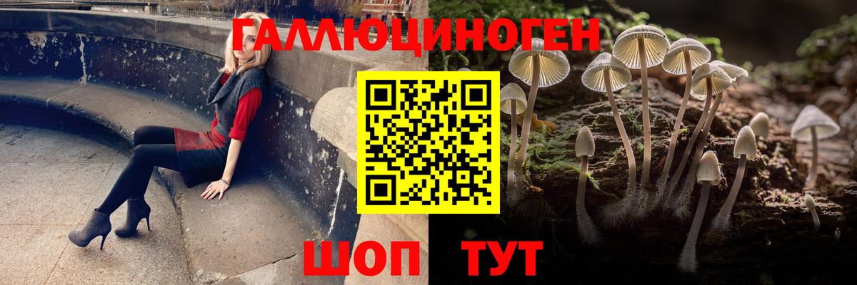 Псилоцибиновые грибы Cubensis Острогожск