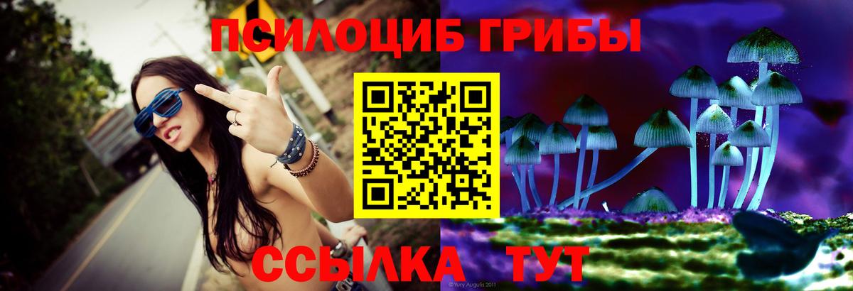 Галлюциногенные грибы Psilocybe  Вход с VPN  Псилоцибиновые грибы мицелий  Острогожск 