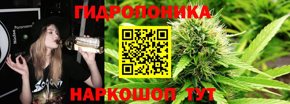 Конопля план Острогожск